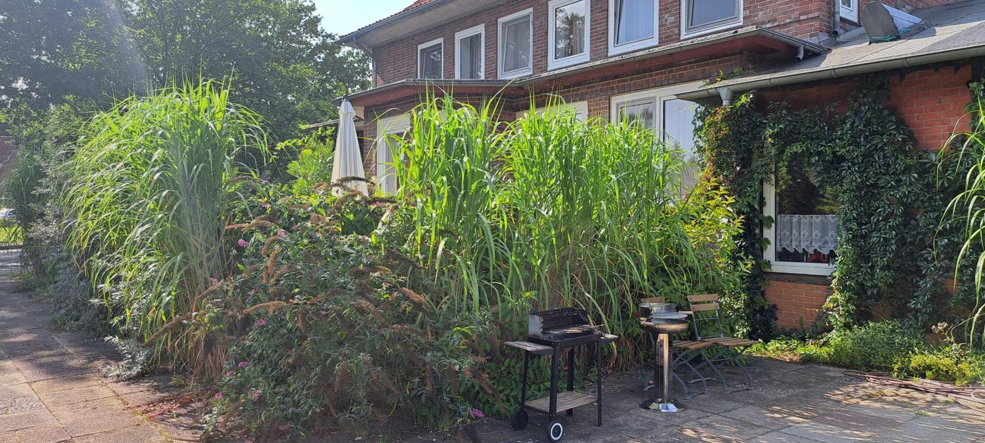 Schillers Landhaus Neu Darchau Exteriér fotografie